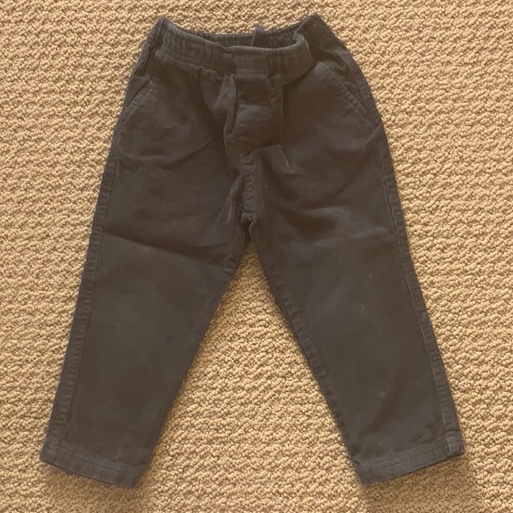 Tea Collection Gray Cordulroy Pants Size 3